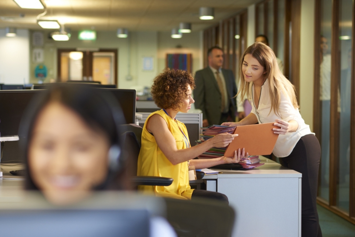 Assistente Administrativo